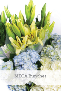 MEGA Bunches