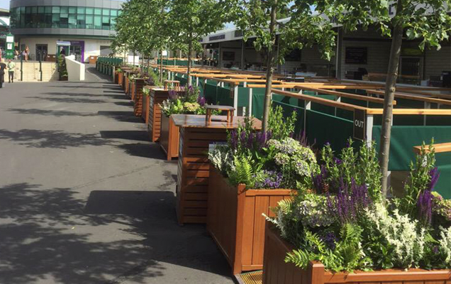 HGTV HOME Plants Great Garden Inspiration from Wimbledon Courtyard