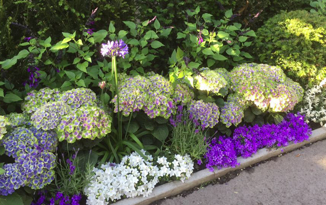 HGTV HOME Plants Great Garden Inspiration from Wimbledon Garden Bed