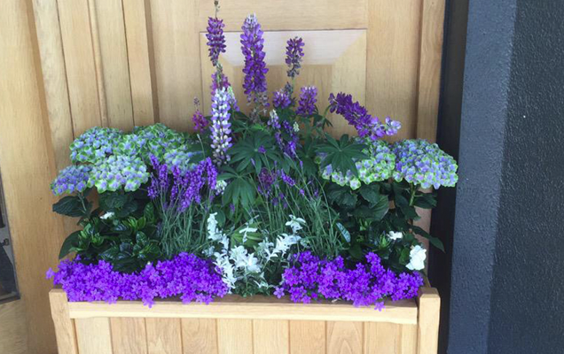 HGTV HOME Plants Great Garden Inspiration from Wimbledon Planter Box 2
