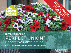 HGTVHPC-website-ads-2015-AnnualsFnewmixes