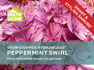 HGTVHPC-website-ads-2015-ShrubsF