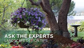 ASK THE EXPERTS - Landscape Design Tips