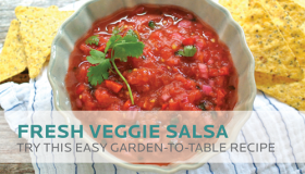 Fresh Veggie Salsa