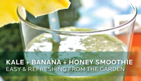 Kale + Banana + Honey Smoothie