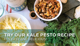 Kale Pesto Recipe