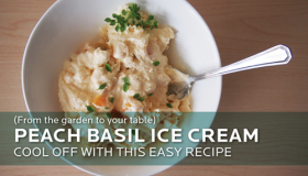 Peach Basil Ice Cream Recipe