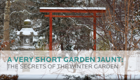A Very Short Garden Jaunt: The Secrets of the Winter Garden