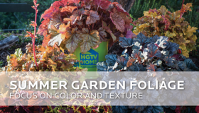 Summer Garden Foliage
