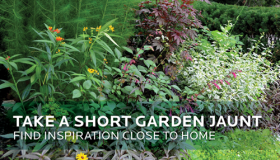 Take a Short Garden Jaunt