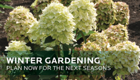 Winter Gardening