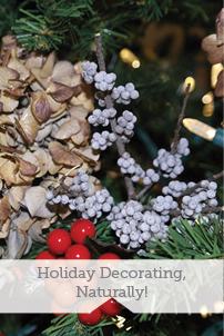 Holiday Decorating Naturally!