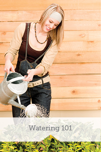Watering 101