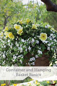 Container and Hanging Basket Basics